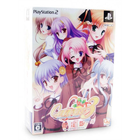 Canvas 3: Tanshoku no Pastel [Limited Edition]