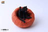 1/6 Laid Back Cat 4.0 C