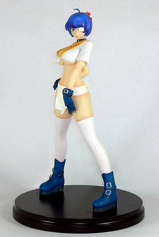 Ikkitousen Dragon Destiny - Shimei Ryomou Festival Ver.　